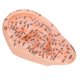 thumbnail image 4 of Modelo de oreja, modelo de acupuntura de oreja humana Puntos de acupuntura de oreja Modelo de masaje de oreja Características mejoradas, 4 of 8