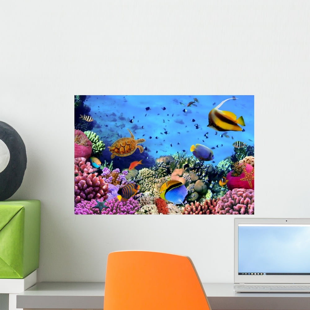 Photo Coral Colony Reef Wall Mural by Wallmonkeys Peel and Stick