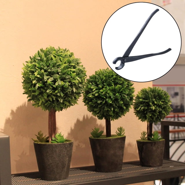 de botones de jardín Tijeras de árboles de árbol de material acero de material acero Cup cóncava para Casa de árbol en Sharpla Cortador de perillas