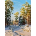 thumbnail image 2 of Basov, Sergej 11x14 Black Ornate Wood Framed with Double Matting Museum Art Print Titled - Winter noon, 2 of 4
