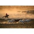 thumbnail image 3 of Zhang, Libby 14x11 Black Modern Framed Museum Art Print Titled - Mongolia Horses, 3 of 5