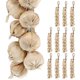 thumbnail image 1 of Plants Decor Artificial Vegetables Garlic Garland Fake Vegetable Toy Halloween Decorations, 1 of 3
