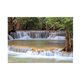 thumbnail image 2 of Cartel de paisaje de acuario Gloria Vinilo decorativo pecera 122x46cm, 2 of 9