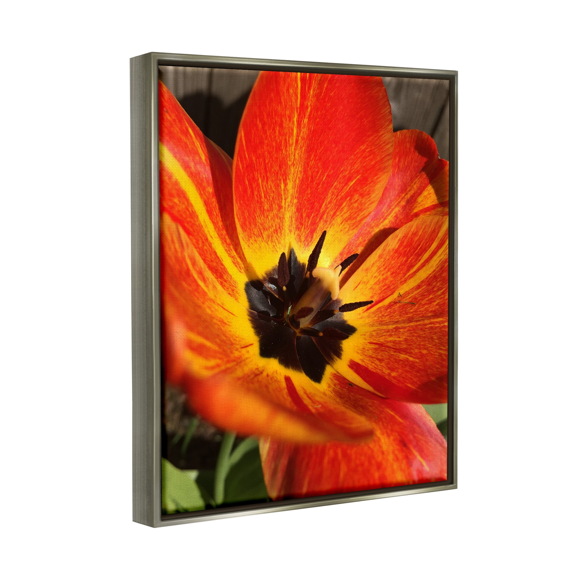 Stupell Industries Bold Red Poppy Flower Blossom Petals Photograph Luster Gray Floating Framed Canvas Print Wall Art, Design by Heidi Bannon