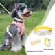thumbnail image 2 of Pechera Con Collar Y Correa Para Perro Gato Mediano Grande, 2 of 8