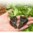 thumbnail image 6 of Soil Vigor® Vitality Boost: 45 lb Potassium Polymer Moisture Retention for Plants and Gardens, 6 of 12