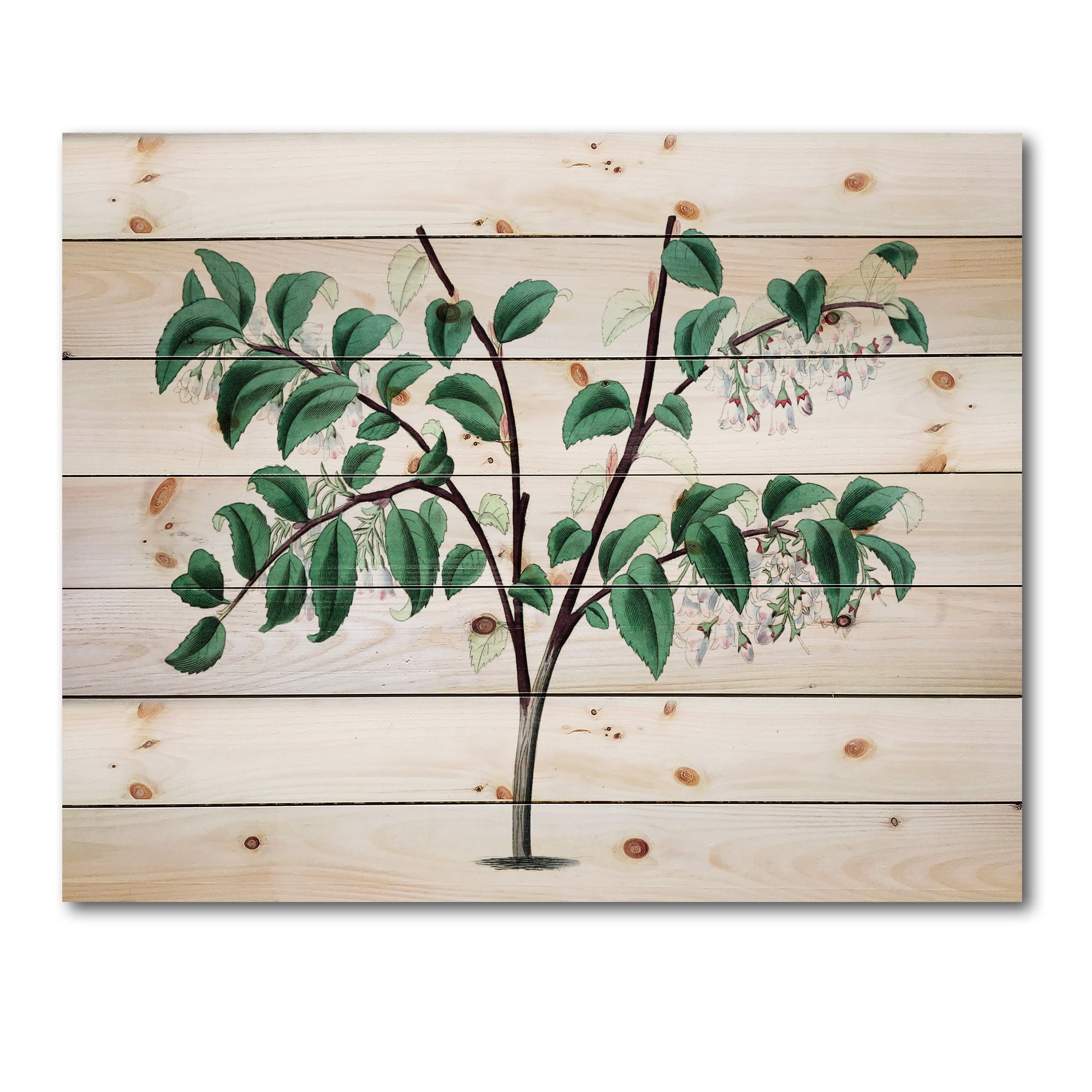 Designart 'Ancient Green Leaves Plants I' Traditional Print on Natural Pine Wood