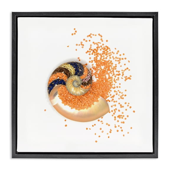 Stupell Industries Bohemian Orange Nautilus Spiral Black Floating Frame Canvas Art, 18 x 18, by Beth Adoette