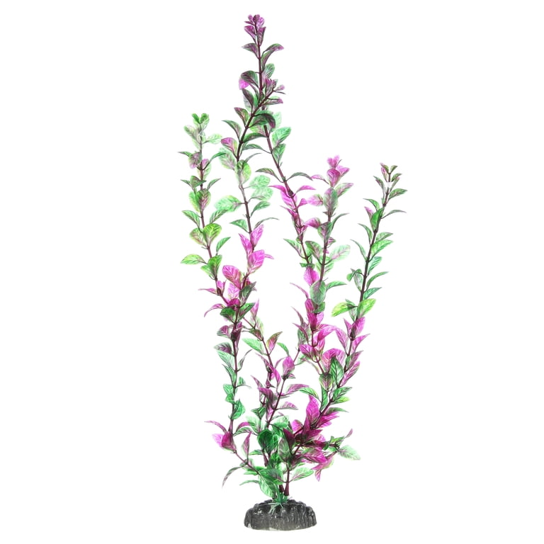 Penn-Plax Aqua-Plants 3-Piece Bundle, 16 Inch Height photo 6
