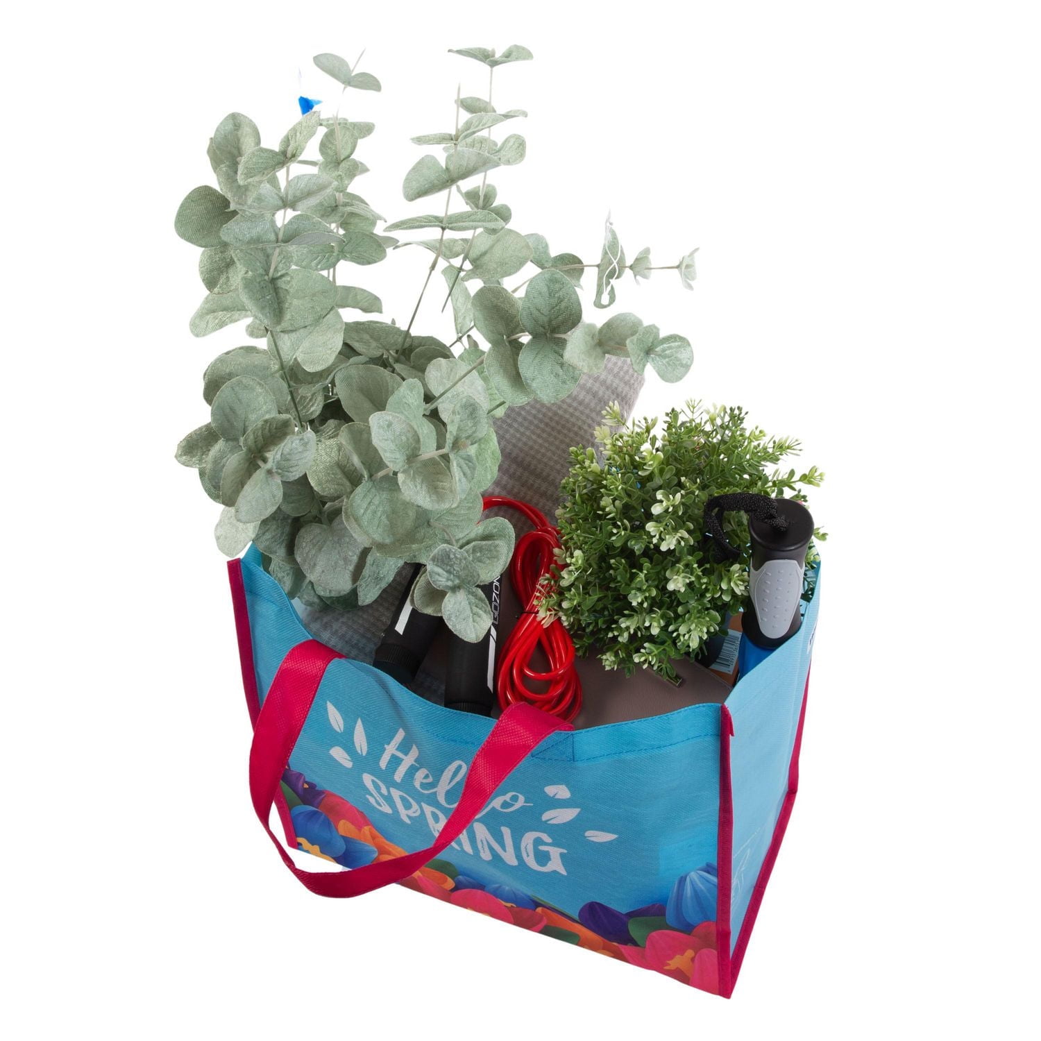 2023 Spring Bag shopping tote