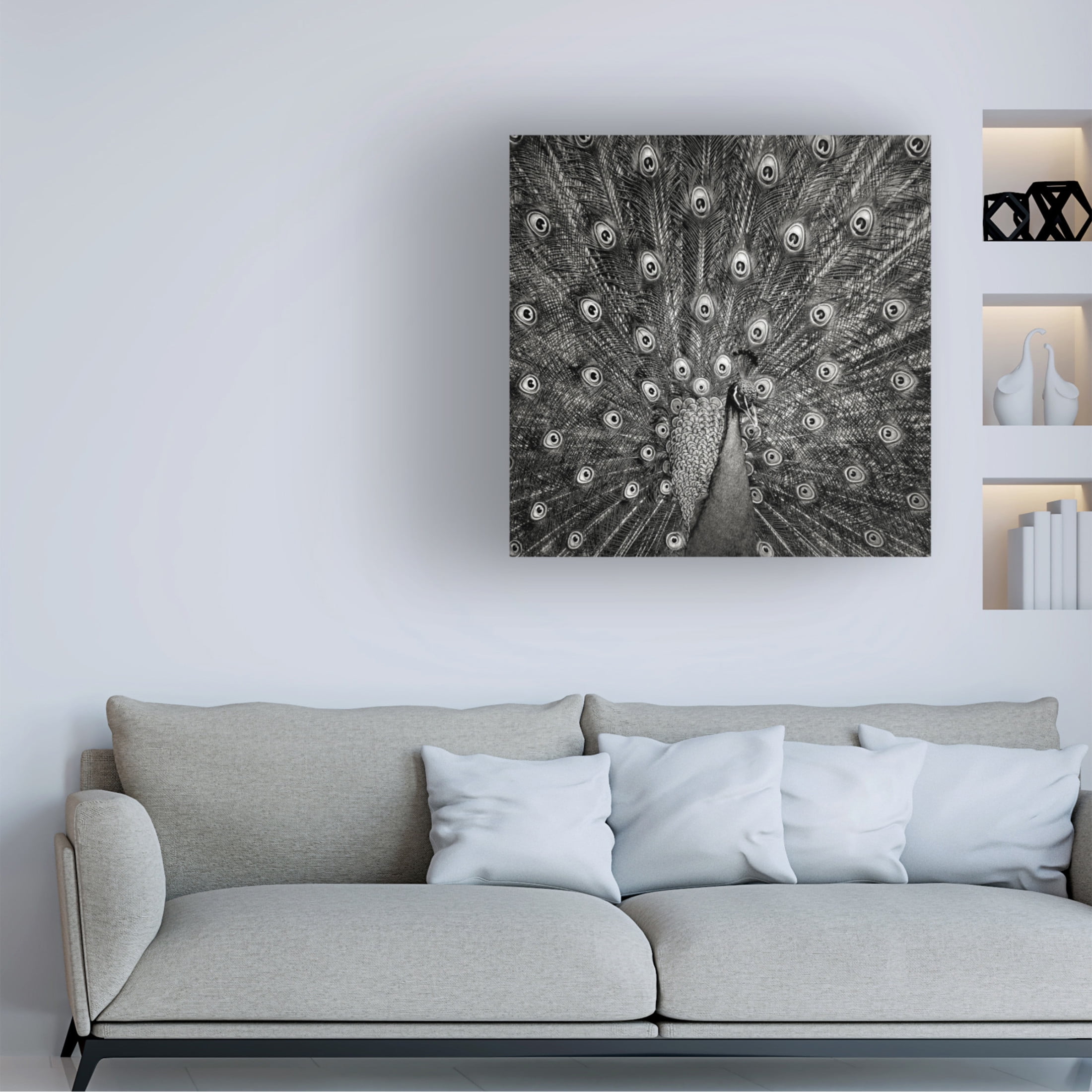Trademark Fine Art Christian Meermann Peacock 6 Canvas Wall Art