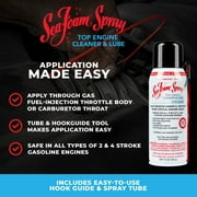 (6 pack) Sea Foam SS14 Cleaner and Lube