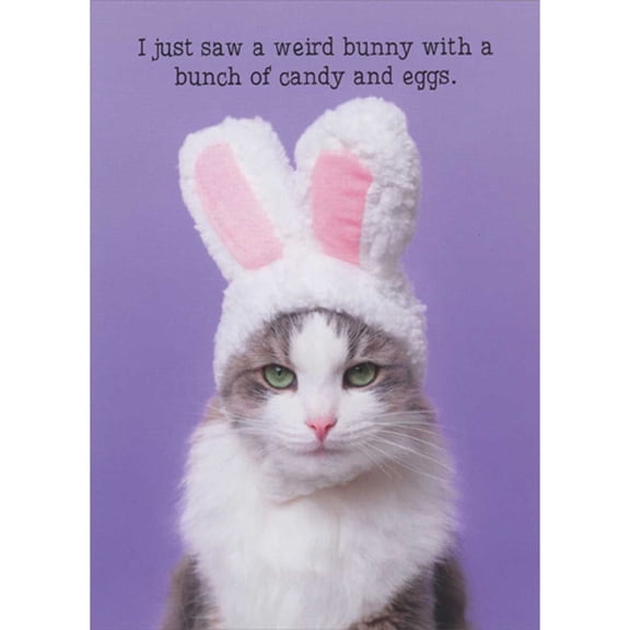 RSVP Cat with Rabbit Ears: Saw a Weird Bunny with Candy and Eggs Funny Easter Card