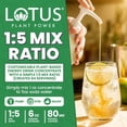 thumbnail image 5 of Lotus Energy Drink Concentrate 64 fl oz (Skinny White & Skinny Red) Pack of 2, 5 of 7