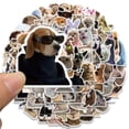 thumbnail image 3 of Stickers Jaurney 100 piezas impermeables de memes de perros y gatos, 3 of 9
