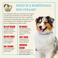 thumbnail image 5 of Country Brook Petz® 1 1/2 inch Watercolor Peonies Martingale Dog Collar, Medium, 5 of 7