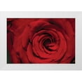 thumbnail image 3 of Erin Berzel 18x13 White Modern Wood Framed Wall Art Titled - Red Rose Detail, 3 of 5