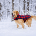 thumbnail image 5 of Abrigo de invierno para perros de estilo británico Apuakthei, resistente al viento, repelente al agua, acogedor, para clima frío, forro polar, ropa para perros, chaqueta para perros, 5 of 5