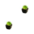 thumbnail image 2 of Bonsái de flores Naiovety en maceta de cerámica negra suculenta verde artificial, 2 of 6