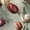 Color 2, variant on Peel and Stick Wallpaper Tulip Bloom Wall Art Featuring Detailed Textures Calm Tones Wall Mural 23.6in x 9.8ft Self Adhesive Removable Renter Friendly Wall Paper Decor for Walls Cabinets Home