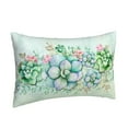 thumbnail image 2 of Bingfone Succulent Standard Size Pillowcase, Long Staple Pure Cotton Envelope Closure Pillow Cover(without pillow core),20"X30", 2 of 9
