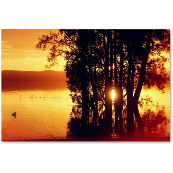 Trademark Fine Art "Lonely at Sunset" Canvas Art by Beata Czyzowska Young