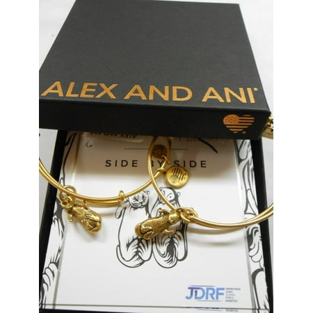Alex and Ani Charity by Design Side by Side Set of 2 Expandable Rafaelian Gold Bangle Bracelet