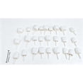 thumbnail image 7 of YAMB Halloween Pumpkin Teeth Decor Kit, Mini Fangs Flat Teeth, Reusable Pin-In Design for Pumpkin Carving, 1.6 Inch, 7 of 7