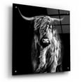 thumbnail image 2 of Epic Art 'Hippy Highland Cow' by Epic Portfolio Acrylic Glass Wall Art, 24"x24", 2 of 8