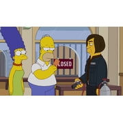 The Simpsons: The Complete Twentieth Season (DVD)