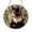 Acrylic 3.5 Inch, variant on Tortoiseshell Cat Faux Stained Glass Sign, Metal Wreath Wall Art Gift for Cat Lovers