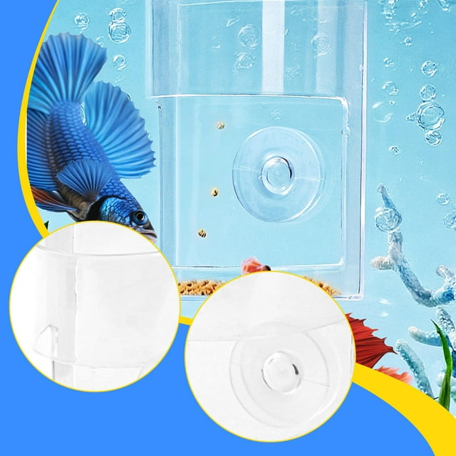Comedero para peces, comedero para lombrices, para camarones de , transparente, con parte trasera ovalada, con tubo de alimentación plano,
