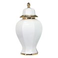 thumbnail image 1 of GROWTH TANK Ceramic Flower Vase Display Table Centerpieces Porcelain Ginger Jar for Weddings, 1 of 9