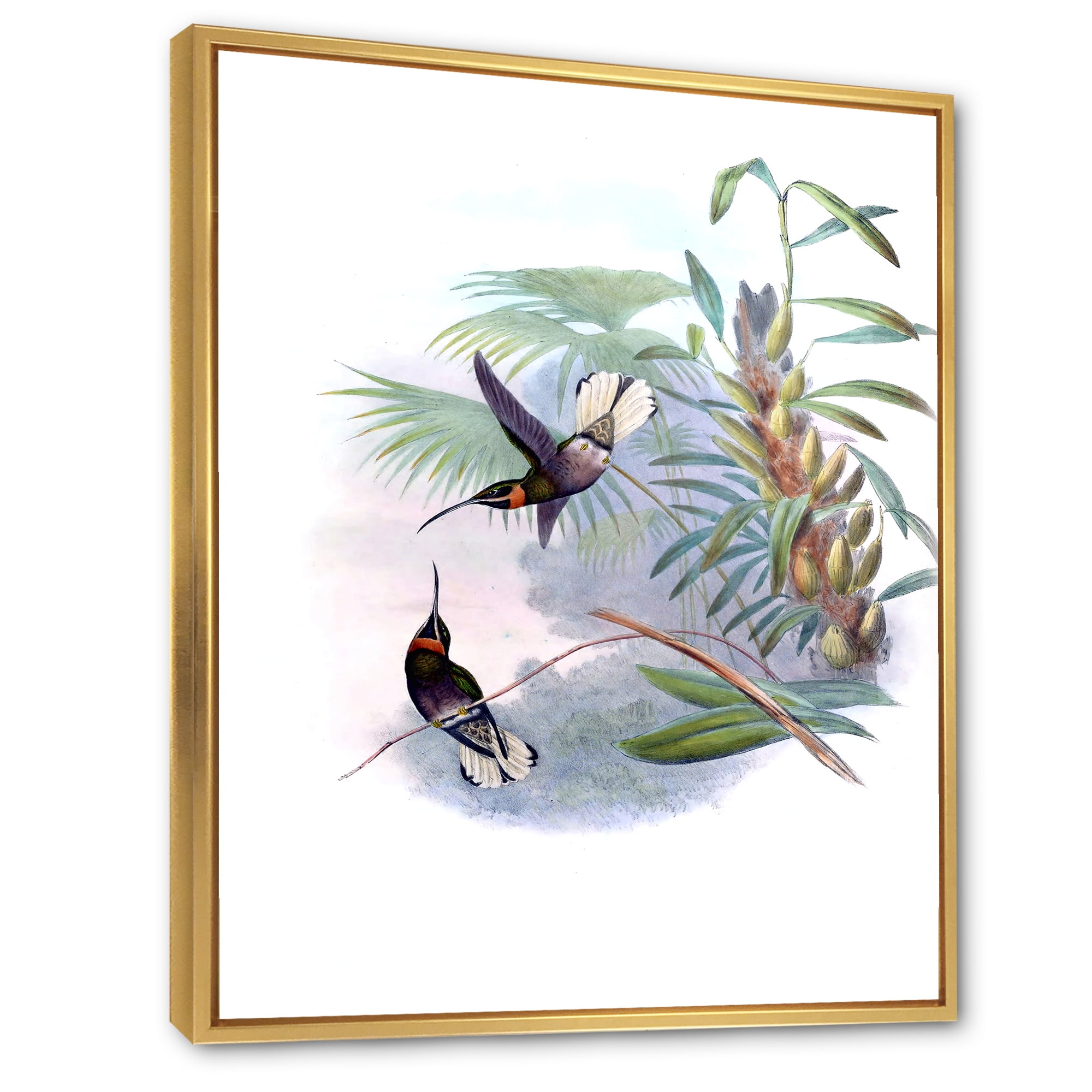 Designart 'Ancient Hummingbird On A Branch' Traditional Framed Canvas Wall Art Print