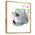 thumbnail image 3 of Designart 'Ancient Hummingbird On A Branch' Traditional Framed Canvas Wall Art Print, 3 of 5