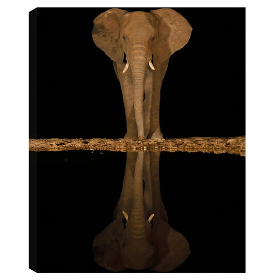 Lakeside Elephant by Staffan Widstrand Canvas Art Print