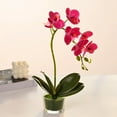 thumbnail image 2 of Glass Vase Artificial Orchid Bonsai - Phalaenopsis Flower Pot Arrangement For Home Table Centerpieces And Room Decor, 2 of 5