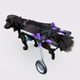 thumbnail image 4 of Silla de ruedas para mascotas de aleación de aluminio de color morado con doble rueda, para perros discapacitados, con asistencia para caminar y rehabilitación de patas traseras, para perros y gatos., 4 of 14