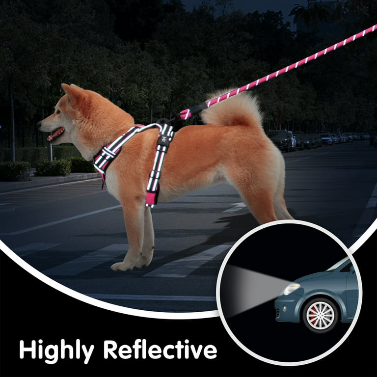 PoyPet Dog Harness and Leash Combo Escape Proof No Pull Vest Harness Reflective Adjustable Soft Padded Pet Harness with Handle for Small to Large