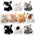 thumbnail image 1 of Peluche Lenwen Cat, 10 unidades, gatitos de peluche, de 12 a 14 cm, 1 of 7