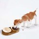 thumbnail image 4 of Estilo Transparente Pet Double Bowl Slip Cat and Dog Food Bowl Water Bowl Food Grade Friendly Material High Appearance Double Grid Food Bowl, 4 of 6