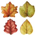 thumbnail image 1 of Juliska Forest Walk Leaf cocktail Plate Set4, 1 of 4