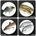 thumbnail image 4 of Portable Electric Fish Scaler Seafood Cleaning Tool Fish Scale Cleaner Fish, 4 of 8