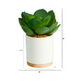 thumbnail image 2 of Nearly Natural 6" Succulent Artificial Plant in White Ceramic Planter, Green, 2 of 4