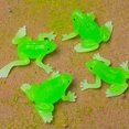 thumbnail image 2 of 20 mini ranas falsas, figuritas de ranas pequeñas, ranas en miniatura, ranas de simulación, 2 of 7
