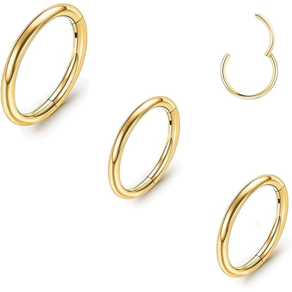 3pc Nose Hoop Hypoallergenic Titanium Nose Rings for Women Men Septum Jewelry Hinged Cartilage Earrings for Nostril Helix rook Tragus ear Daith Conch Lip Rings Ear Lobe piercing Gold/Silver 20G/18G