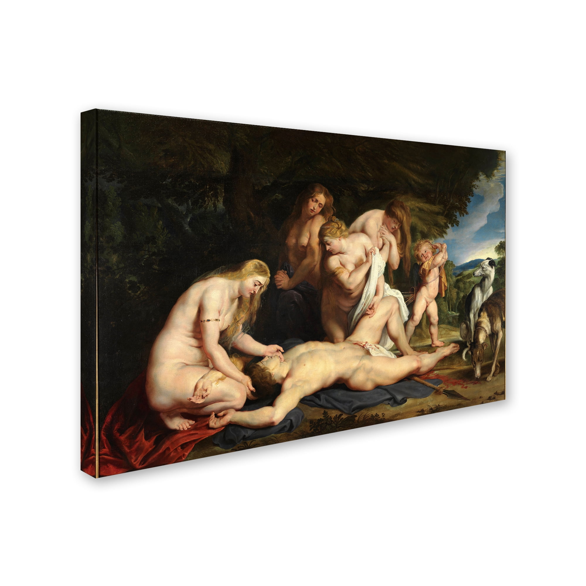 Peter Paul Rubens 'The Death Of Adonis' Canvas Art