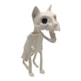 thumbnail image 2 of DFC Halloween Skeleton Skeleton Skeleton Photo Props Halloween Skeleton Skeleton Venue Layout Props Scary Scary Cat White Bones Sitting Cat Yard Layout Props, 2 of 9