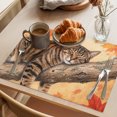 thumbnail image 3 of Sleeping Cat Fall Placemats Set of 12 Branches Maple Leave Thanksgiving Place Mats Indoor Wipeable Table Mats Washable Cloth Dining Table Placemats for Kitchen Holiday Party Home Decor 13x19 Inch, 3 of 9