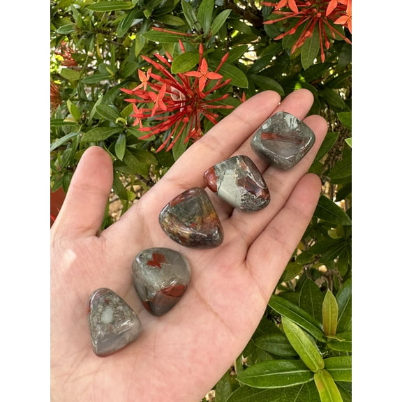 5 Pcs African Bloodstone Tumbled Stones, Polished African Bloodstone Gemstone, African Bloodstone Healing Crystals (African Bloodstone)